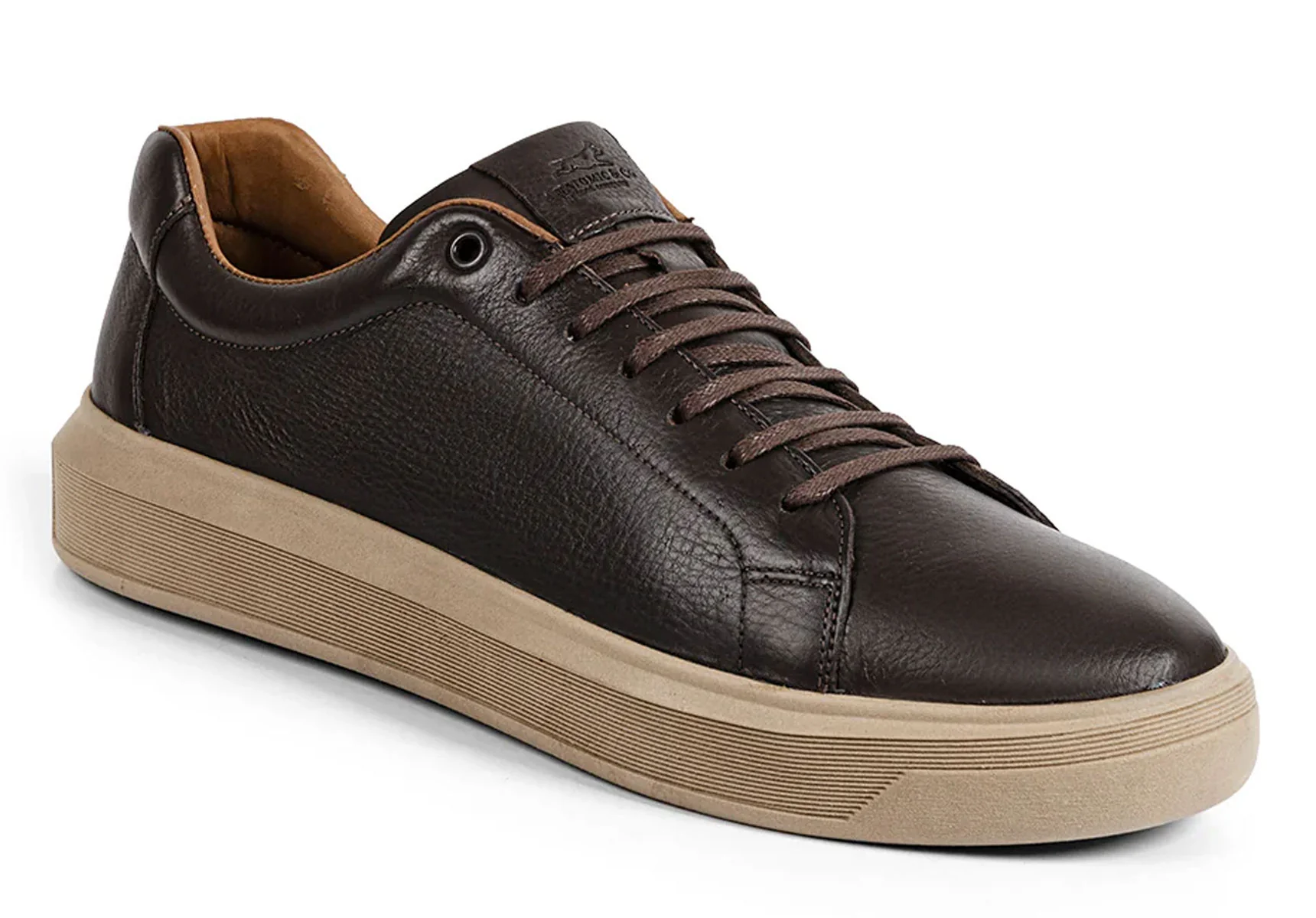 Anatomic Madeiro - Brown