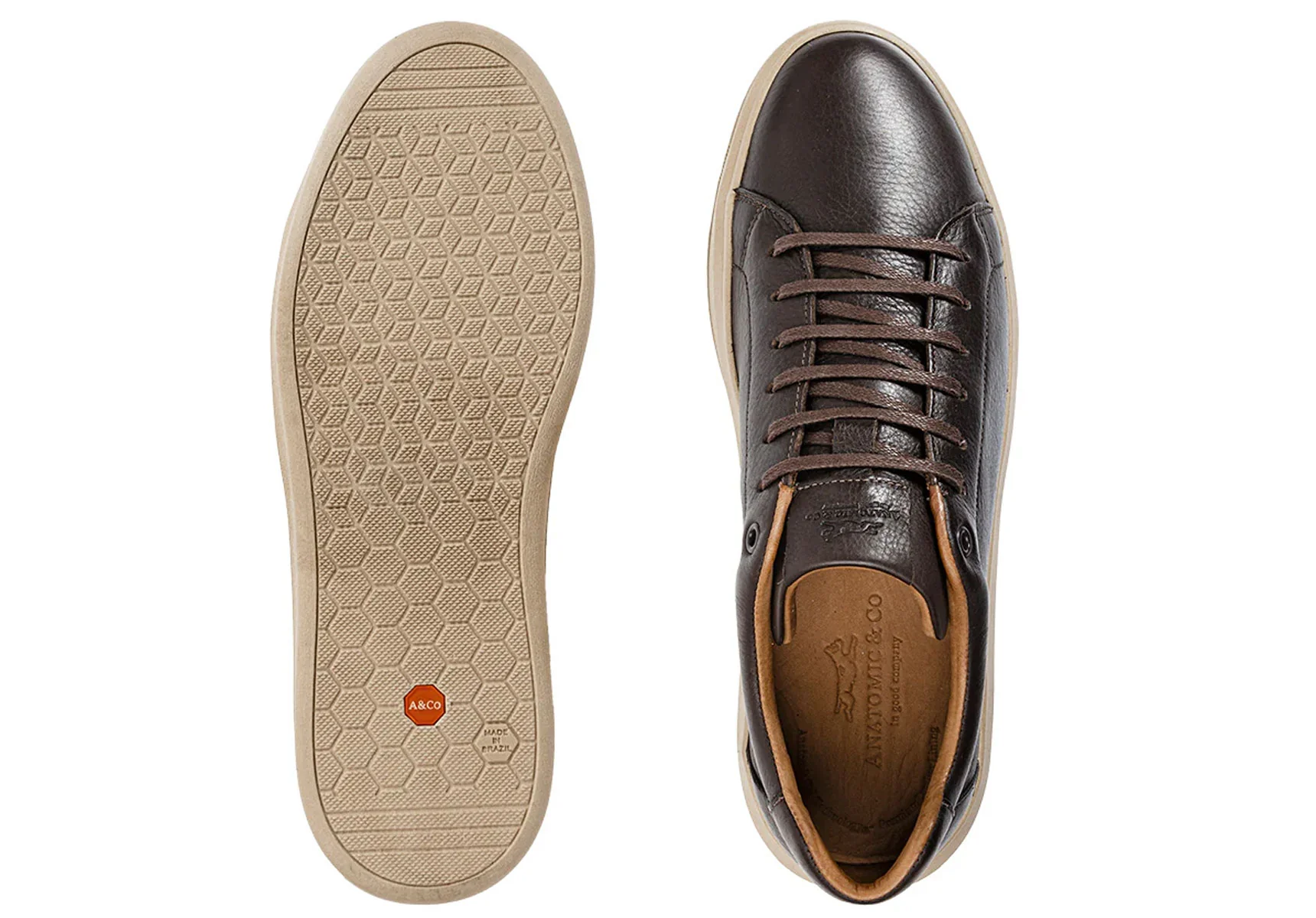 Anatomic Madeiro - Brown - Image 2