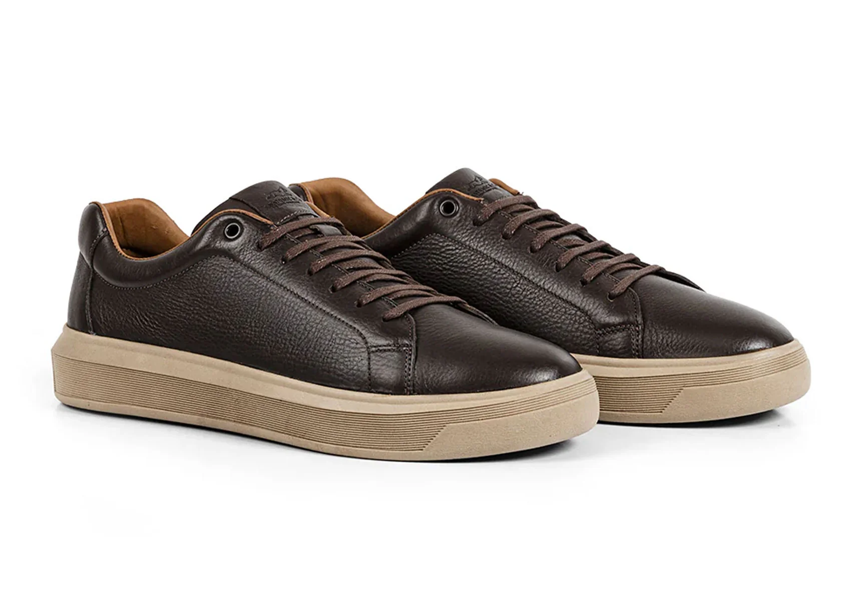 Anatomic Madeiro - Brown - Image 3