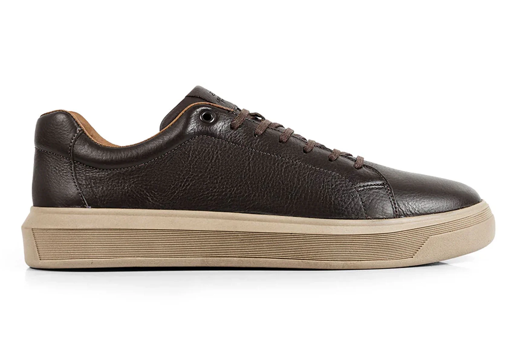 Anatomic Madeiro - Brown - Image 4